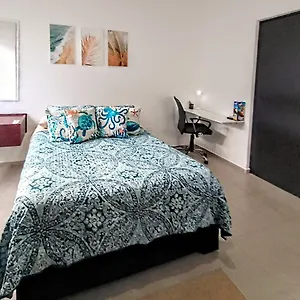 casa-en-privada-con-alberca-excelente-para-vacaciones-y.tulum-hotels.net/